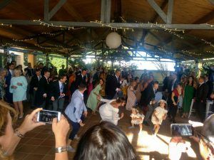 Dj bodas Mlaga Boda de Carmen y Pablo