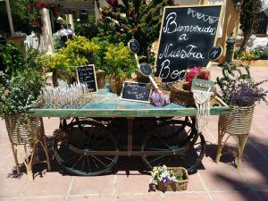 Dj bodas Mlaga Boda de Carmen y Pablo